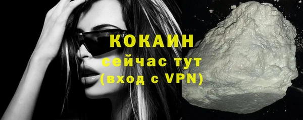 твердый Осинники